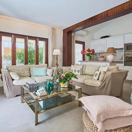 Hibiscus ポルト・ダ・ポリェンサ