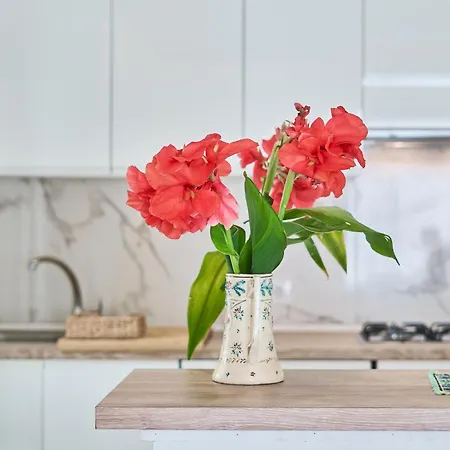 Hibiscus Поланко