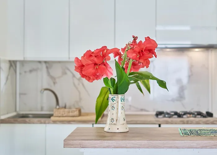 Hibiscus Port de Pollença